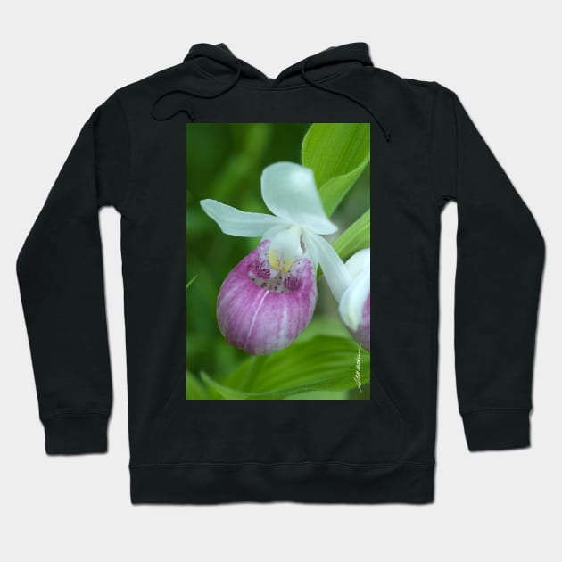 Showy Lady's Slipper Hoodie by srwdesign